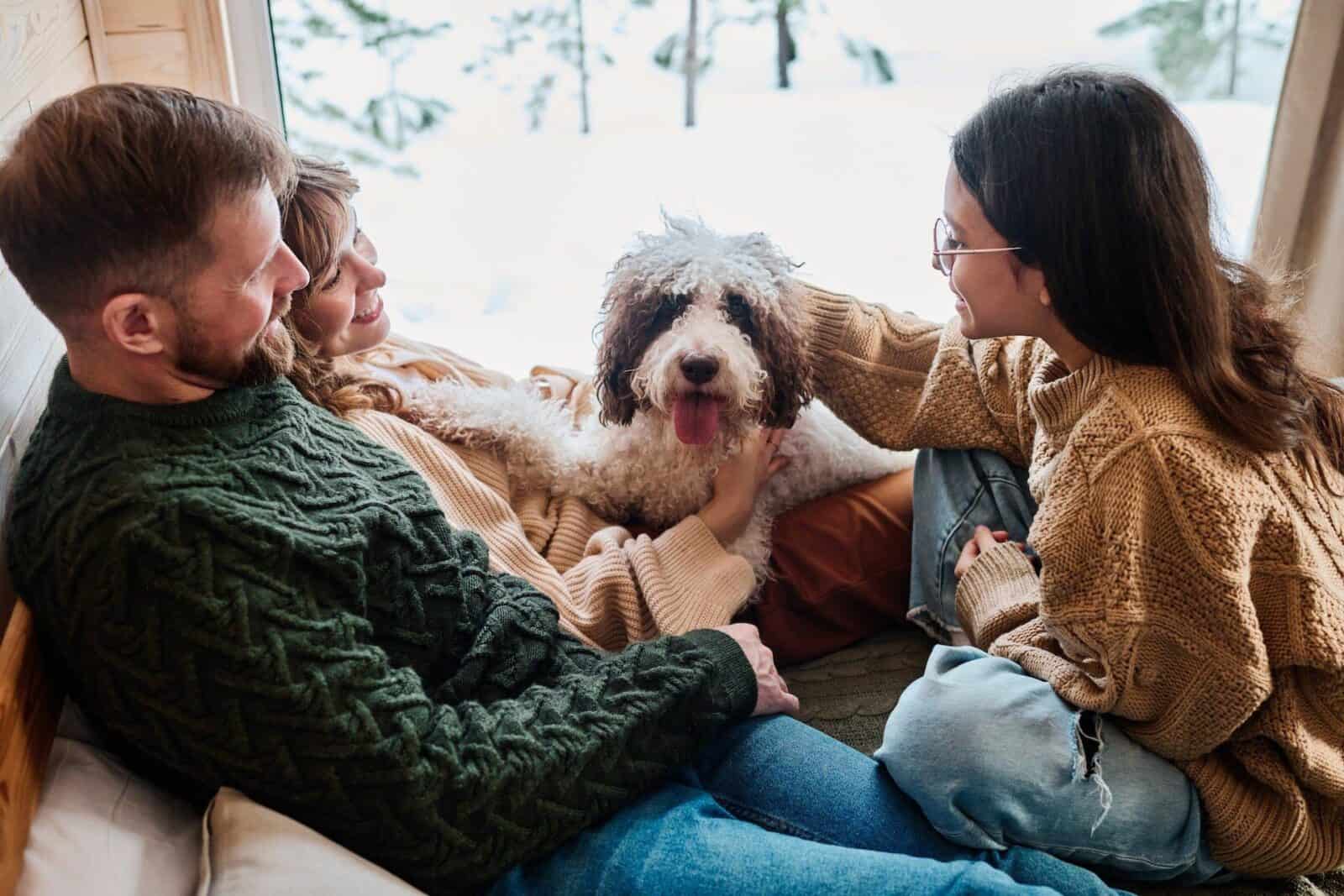 Cozy indoor scene with dog.